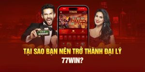 Làm đại lý 77WIN